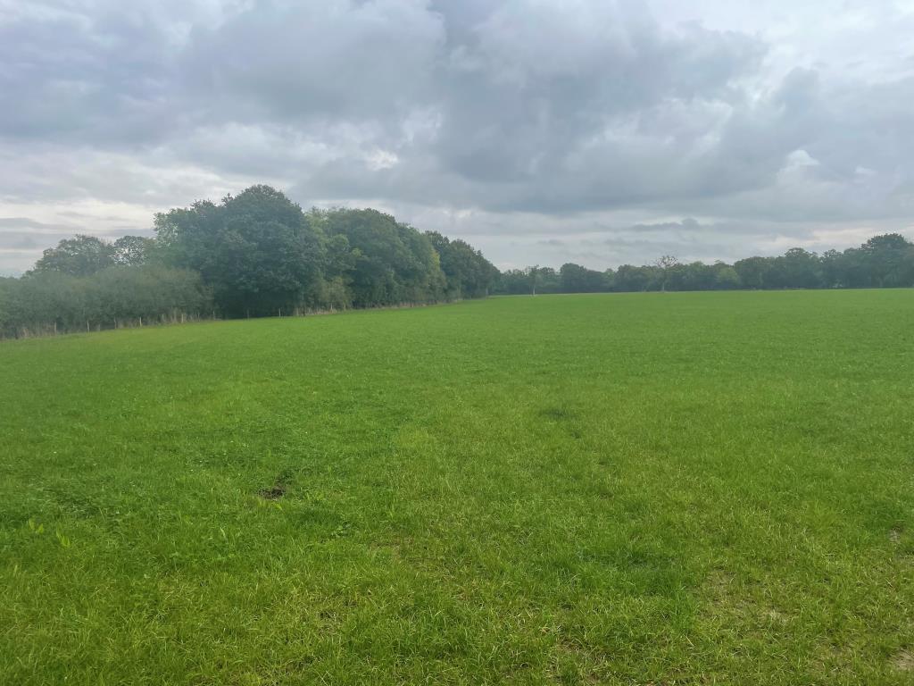 Lot: 94 - JUST OVER 33 ACRES OF FARMLAND IN STRATEGIC LOCATION - TO BE OFFERED FOR SALE BY PUBLIC AUCTION ON FRIDAY, 25TH OCTOBER 2024 - Easterly view of rear parcel of land with tree borders